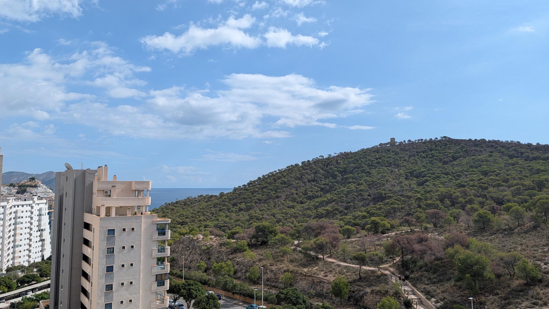 Apartment in La Cala - view 1