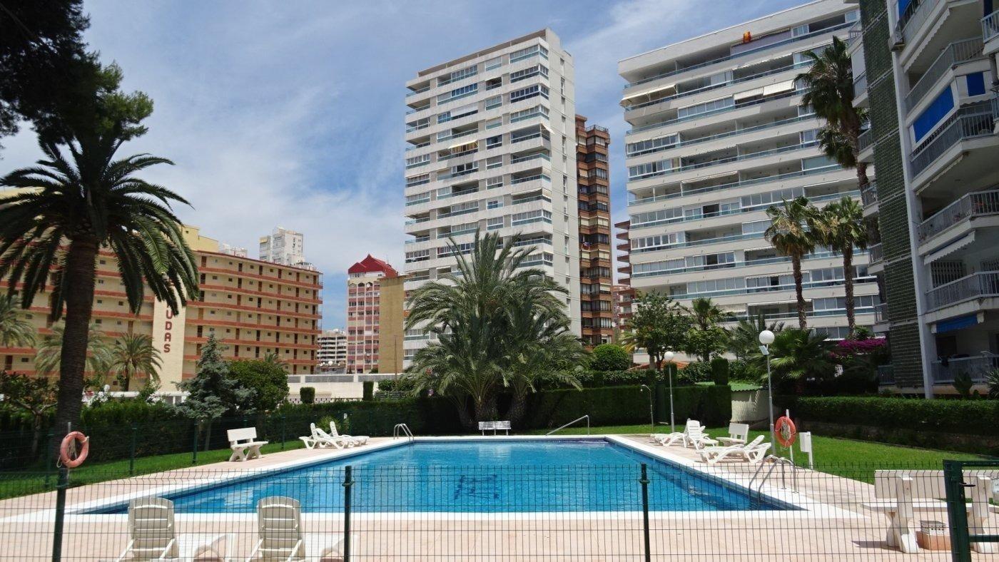 Apartment in Benidorm - view 1