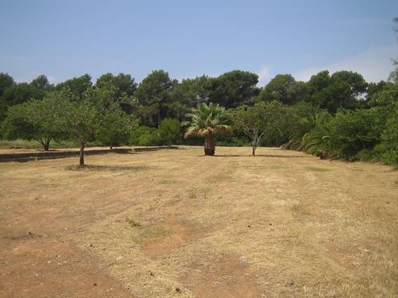 Land in Denia - view 1