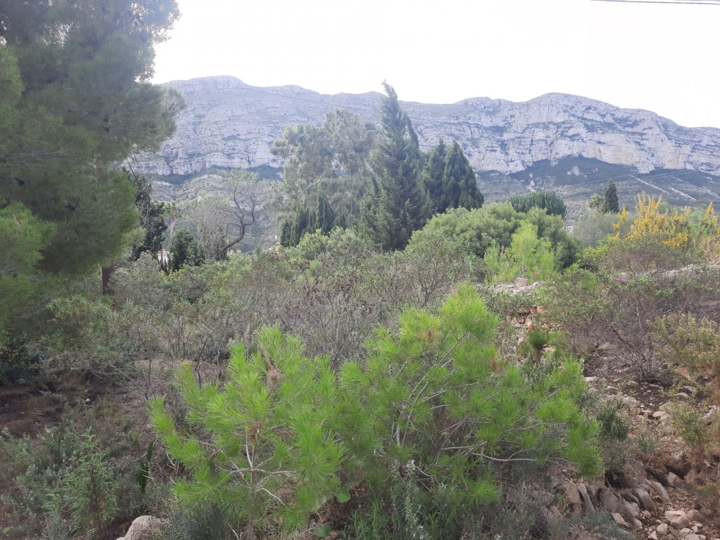 House in Denia - view 1
