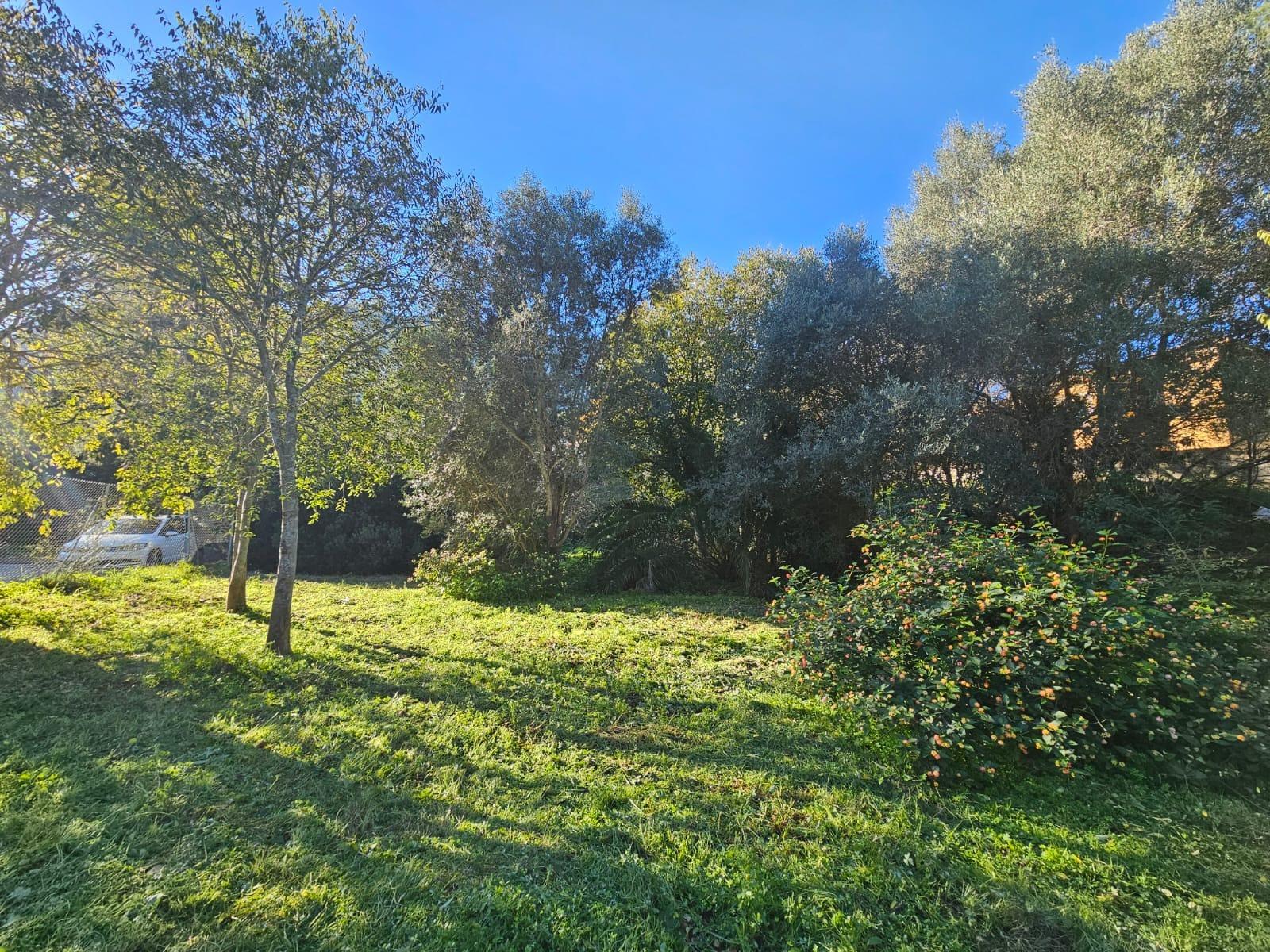 Land in Real - view 1