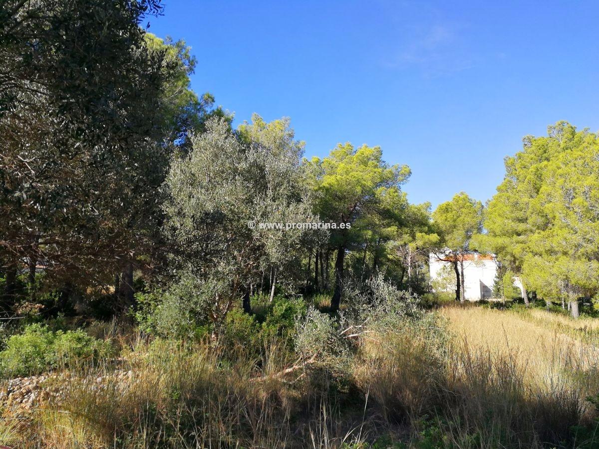 Land in Denia - view 1