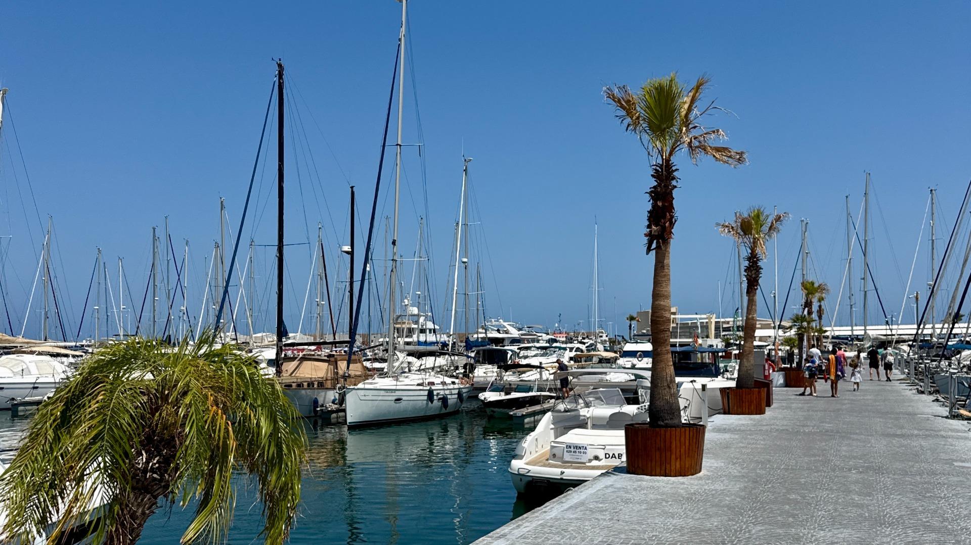 Apartment in Santa Cruz - view 1