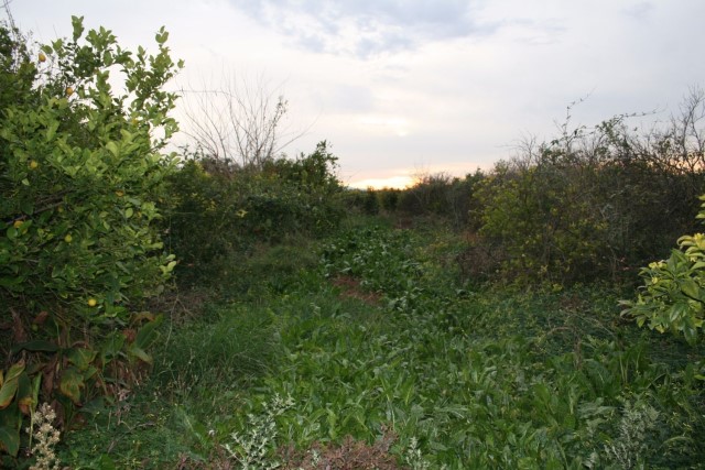 House in Murcia - view 1