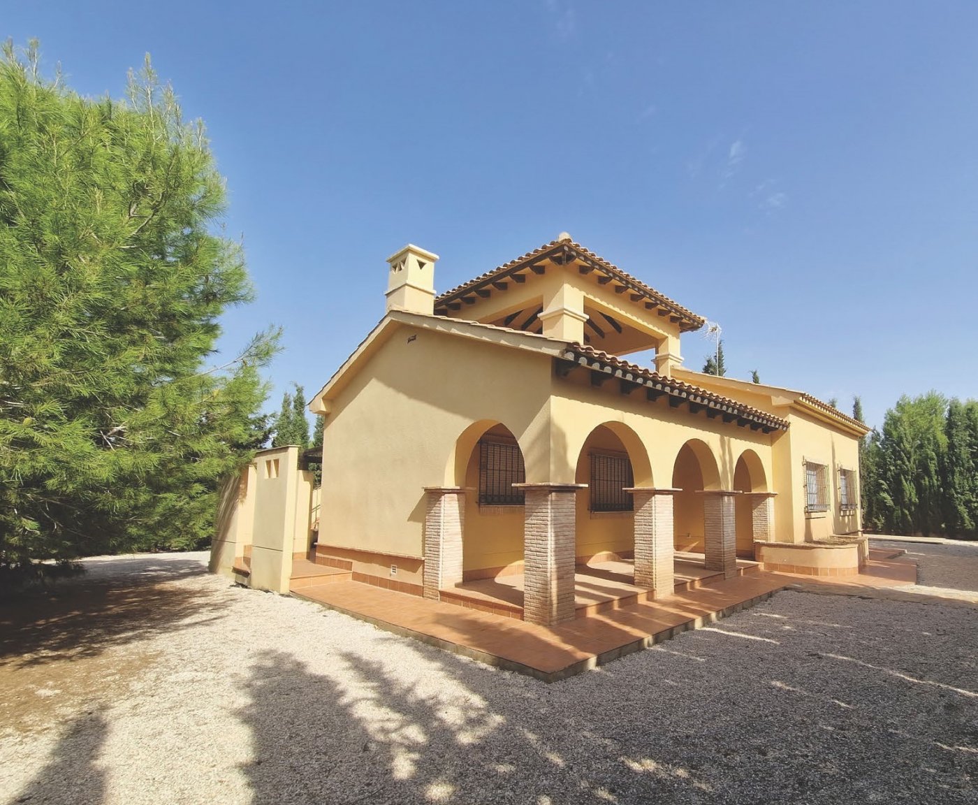 Villa in Fuente Alamo - view 1