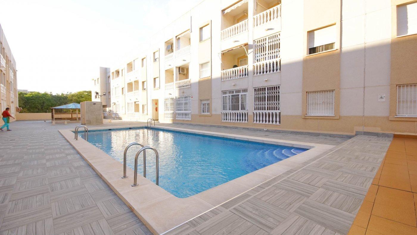 Apartment in Torrevieja - view 1