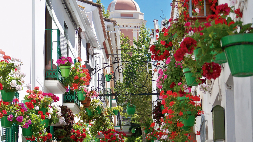 House in Estepona - view 1