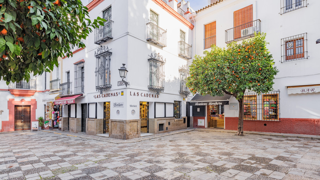House in Seville - view 1