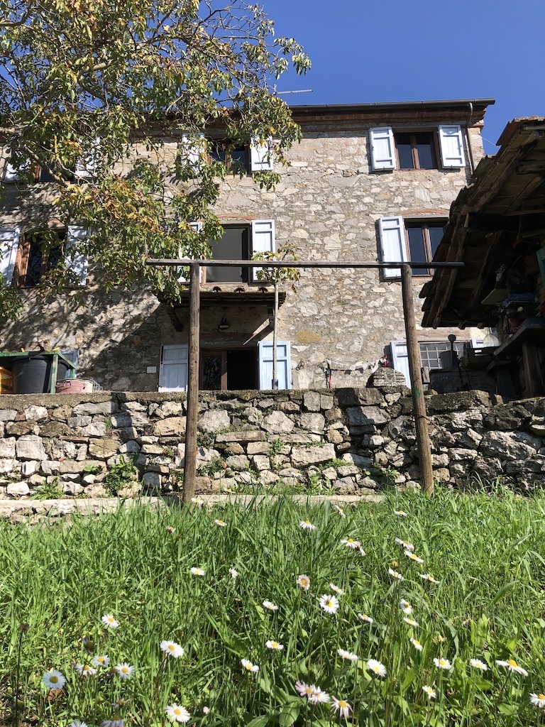 House in Lucca - view 1