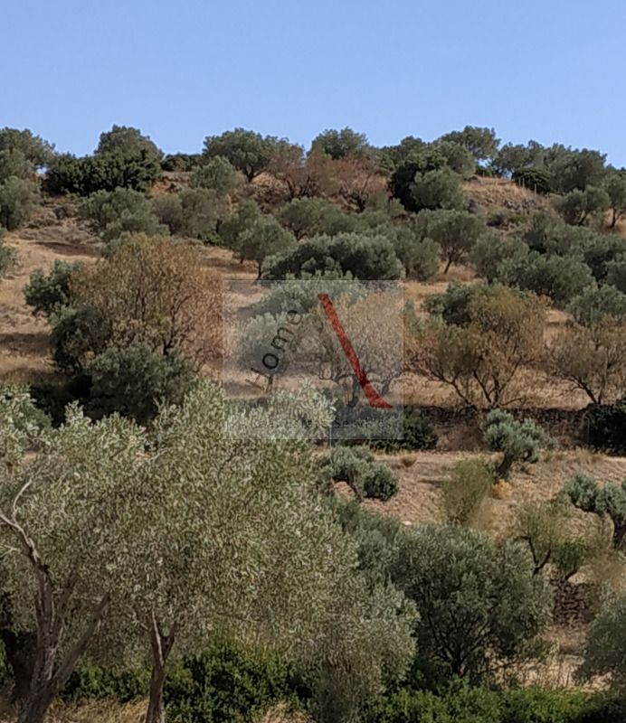 Land in Kouvaras - view 1