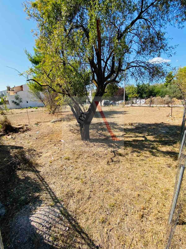 Land in Kifisia - view 1