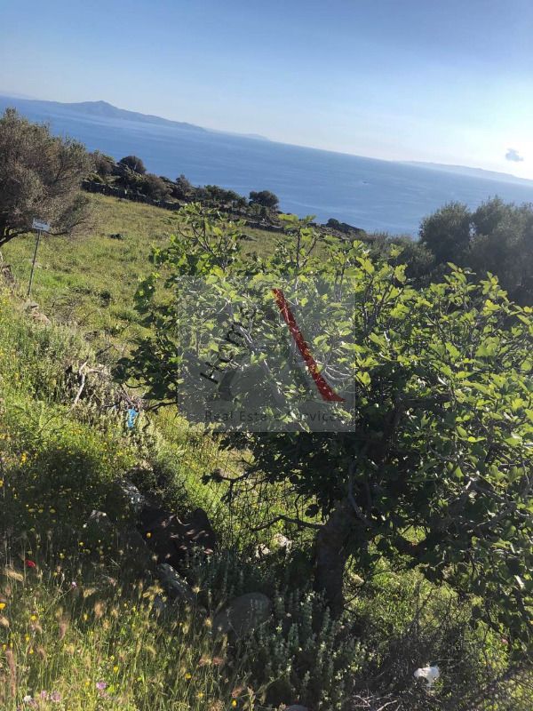 Land in Andros - view 1
