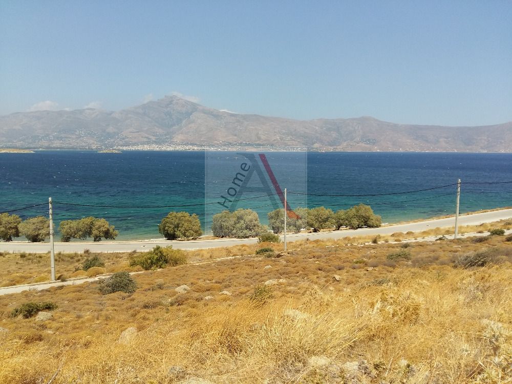 Land in Karystos - view 1