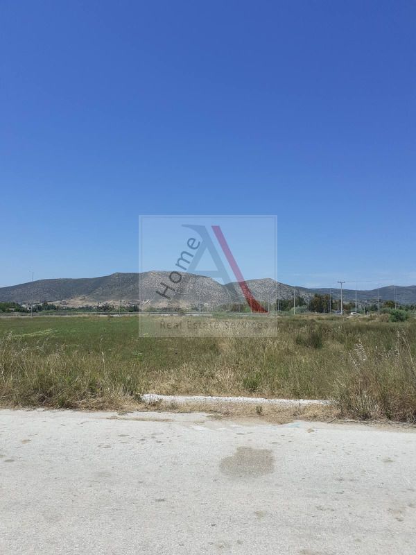 Land in Athens - view 1