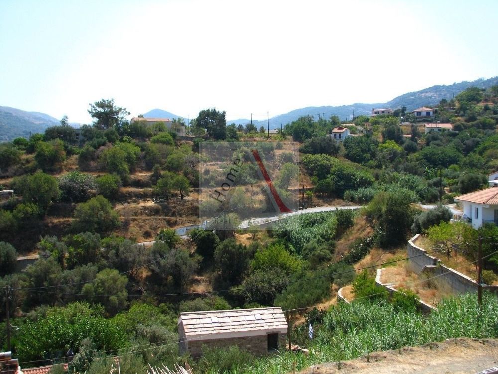 Land in Samos - view 1