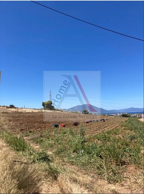 Land in Nea Artaki - view 1