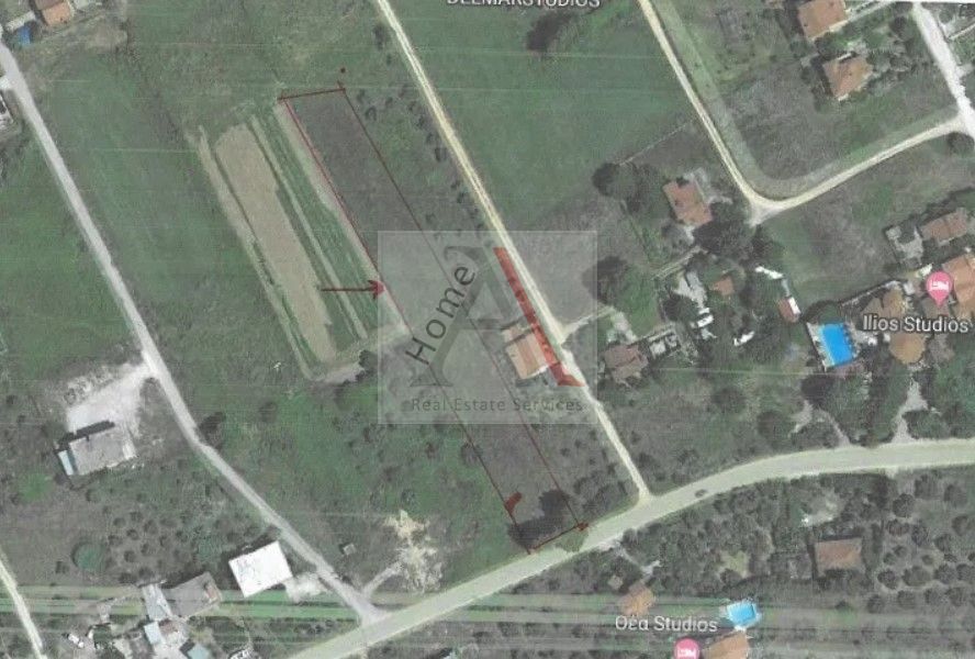 Land in Artemisio - view 1