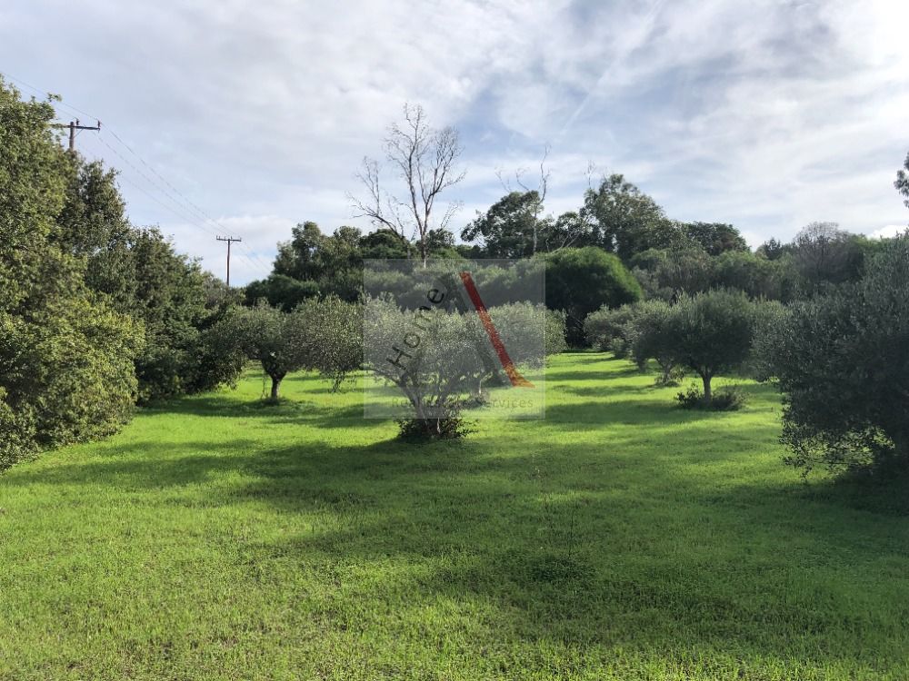 Land in Rhodes - view 1
