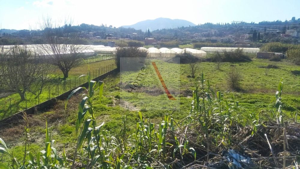 House in Corfu - view 1