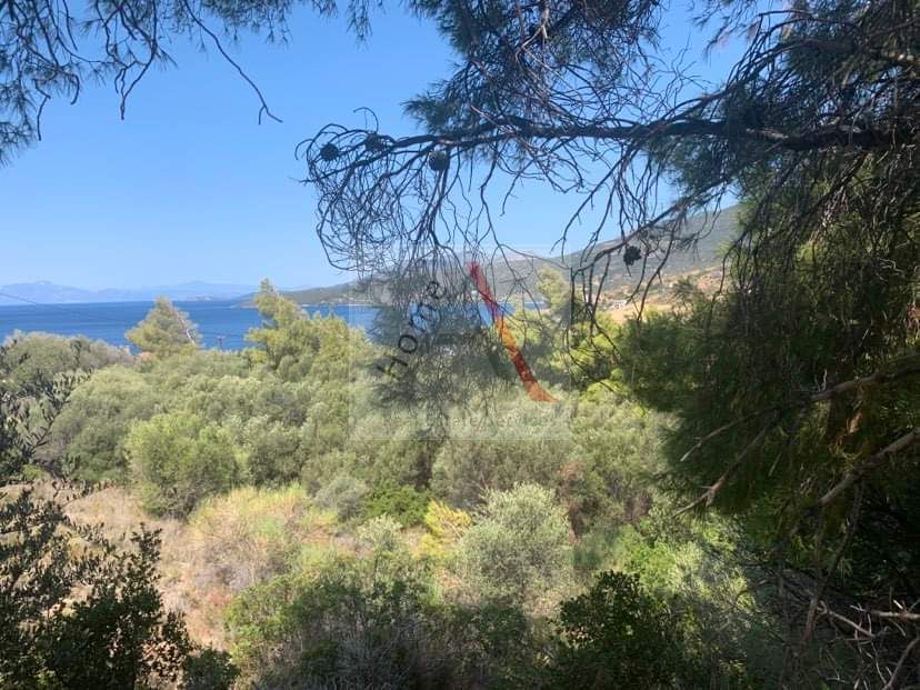 Land in Marmari - view 1
