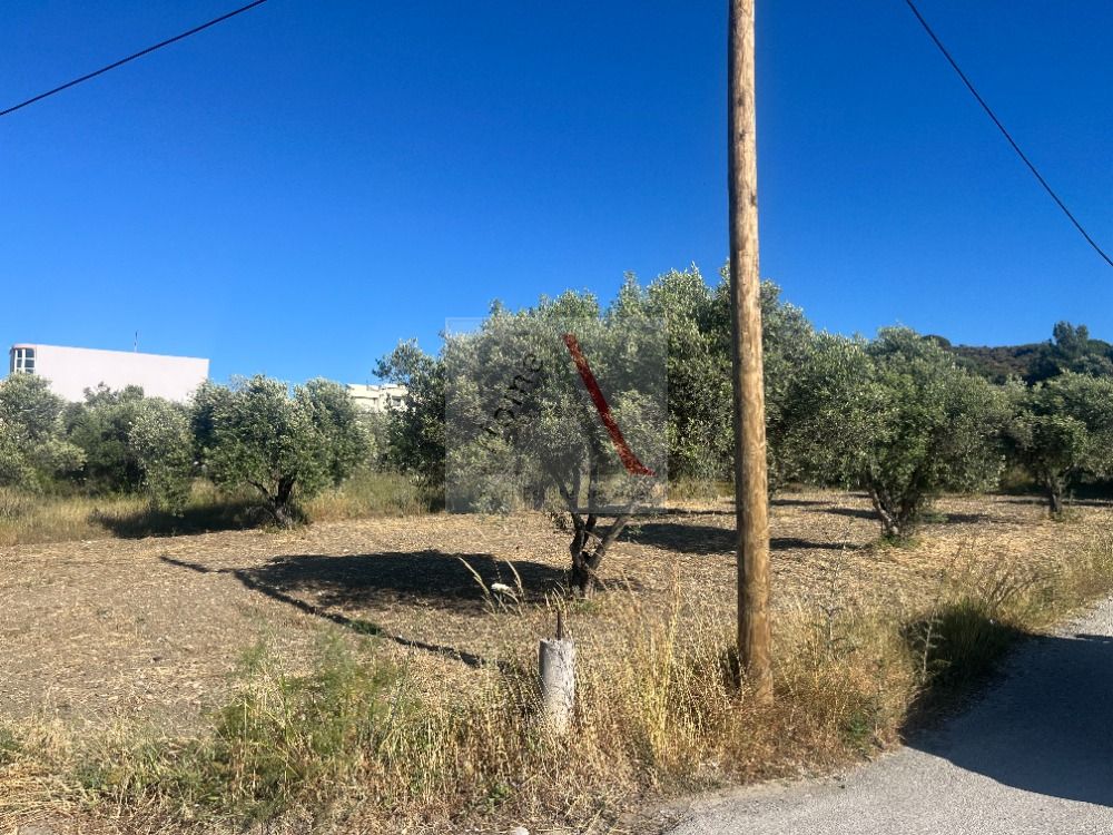 House in Rhodes - view 1