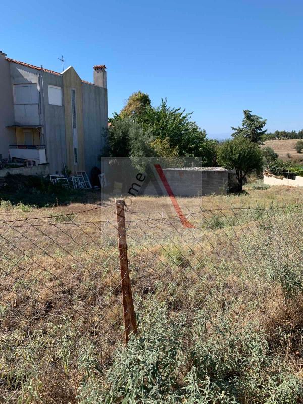 House in Panorama - view 1
