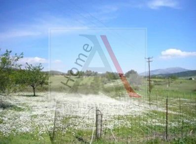Land in Euboea - view 1