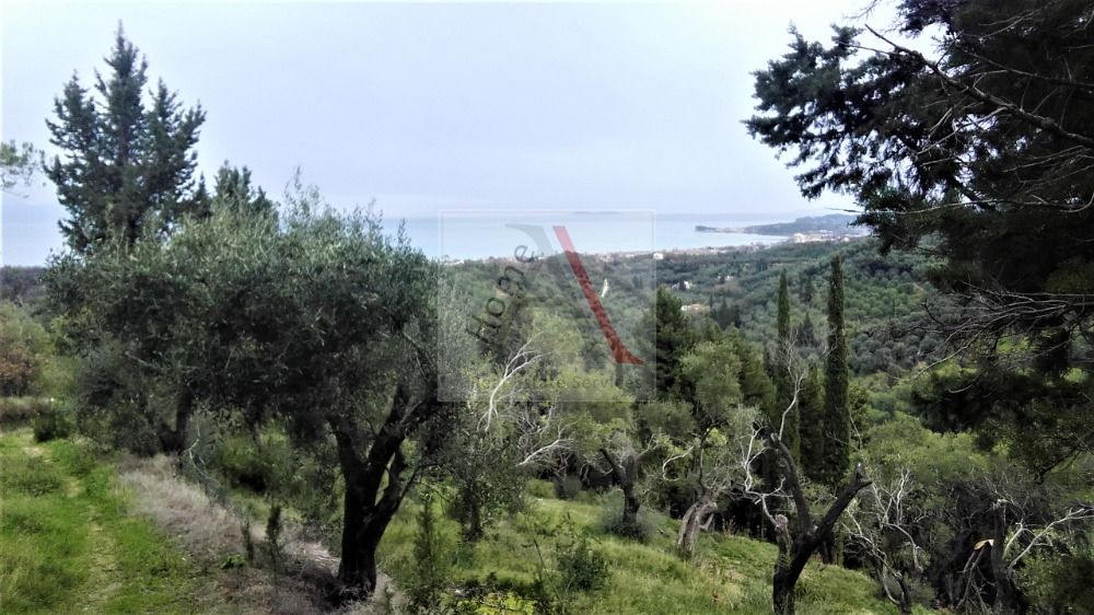 Land in Corfu - view 1