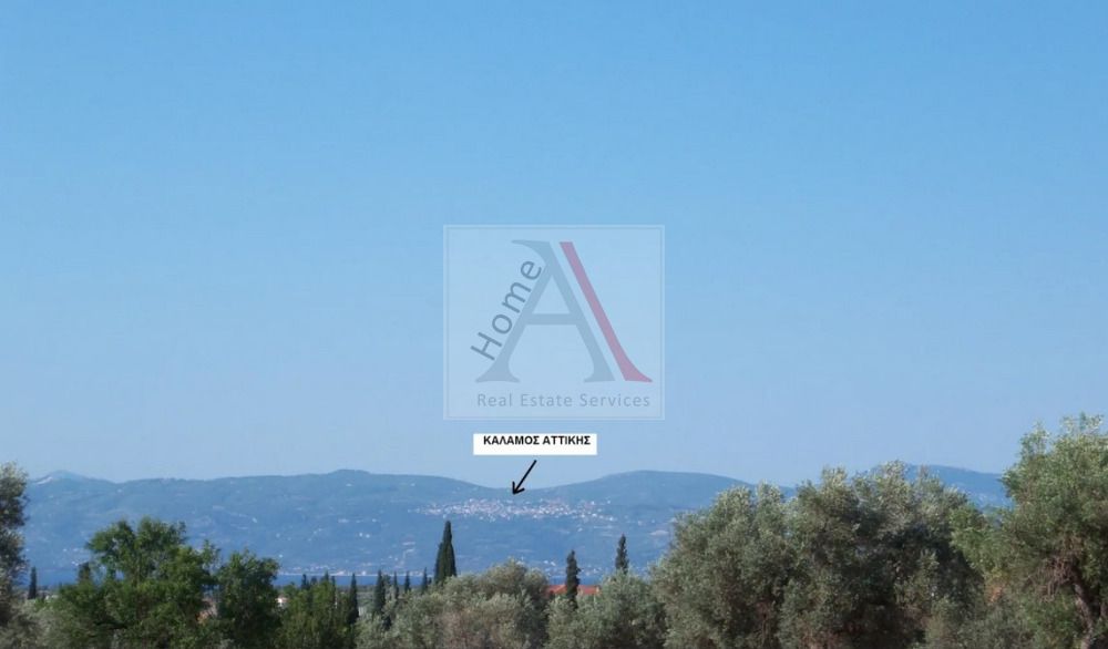 Land in Amarynthos - view 1