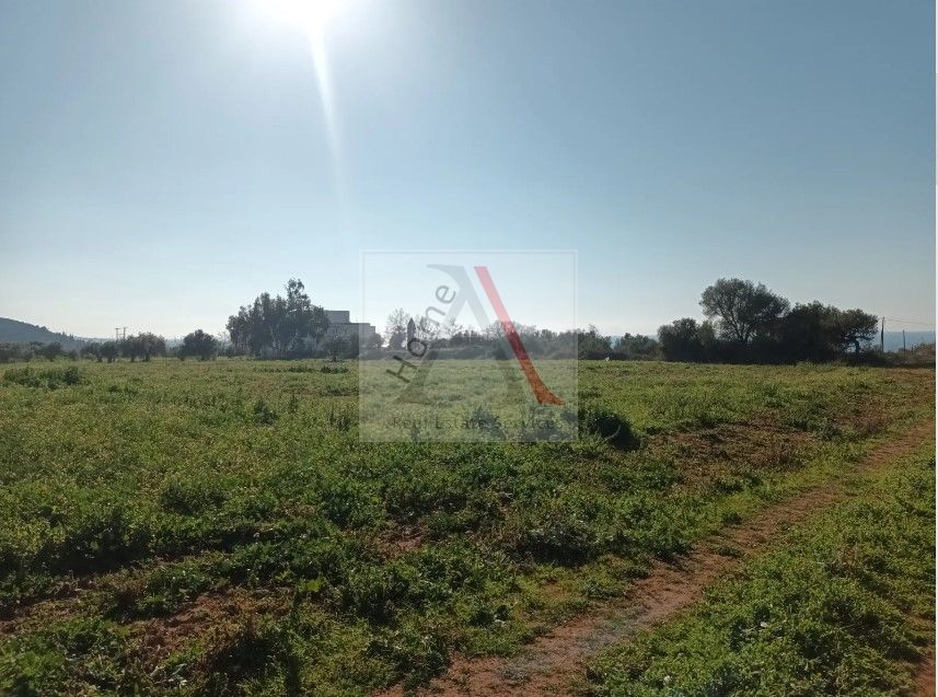 Land in Avlon - view 1