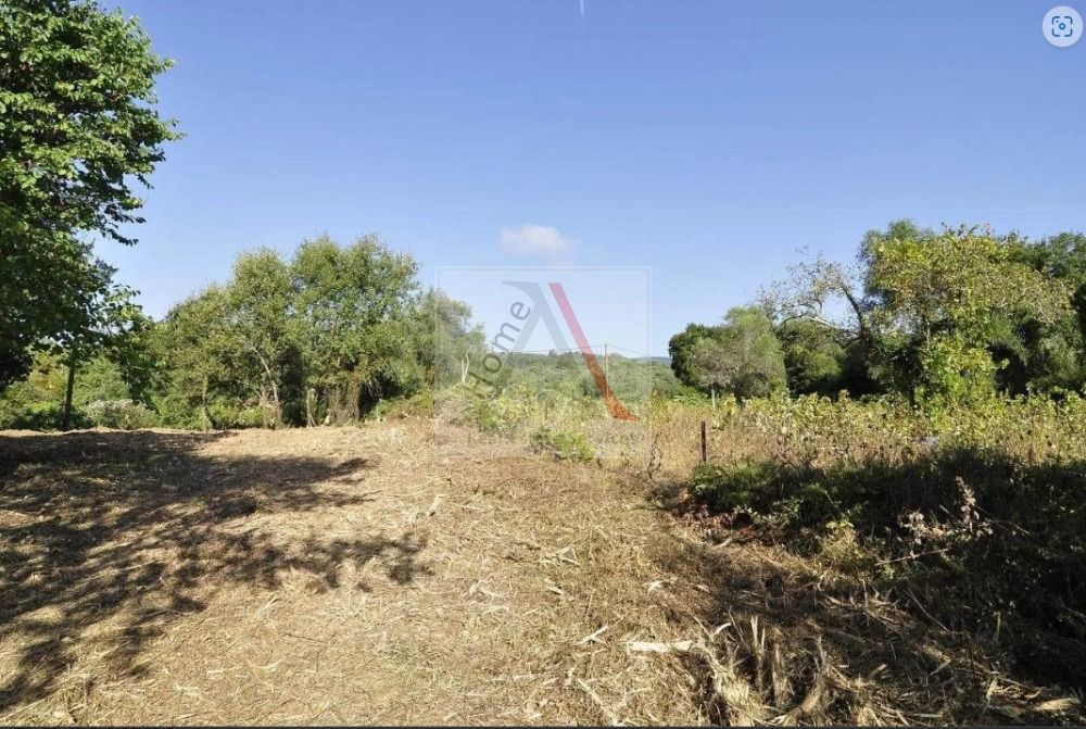 Land in Corfu - view 1
