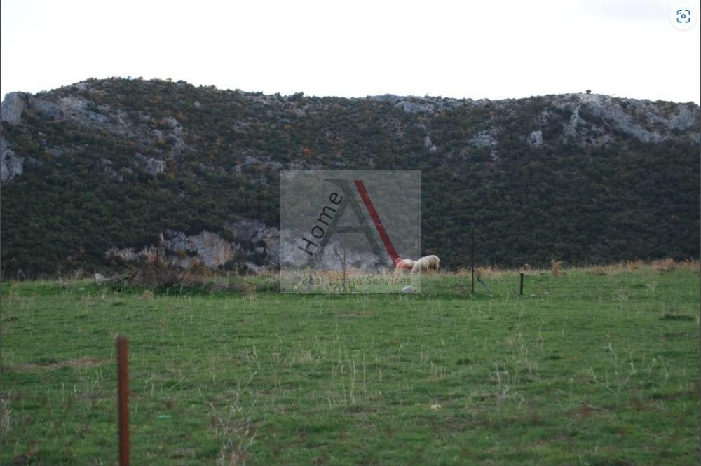 House in Euboea - view 1