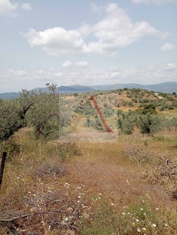 Land in Kranidi - view 1