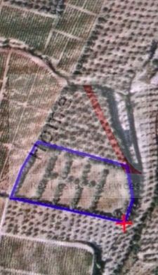 Land in Arkhaia Korinthos - view 1