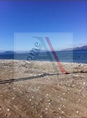 Land in Artemisio - view 1