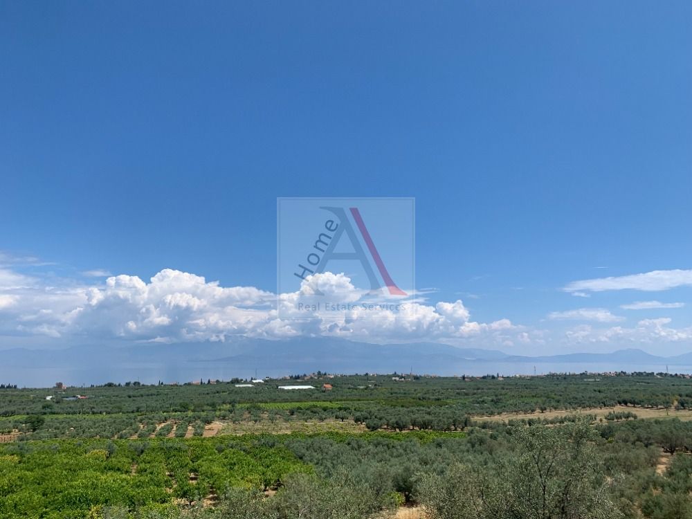 Land in Xylokastro - view 1