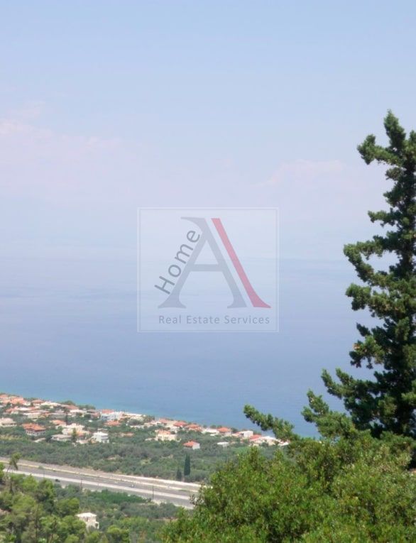 Land in Xylokastro - view 1