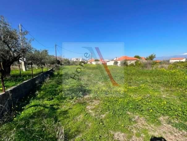 Land in Xylokastro - view 1