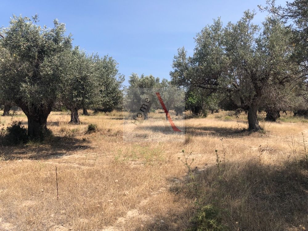 Land in Rhodes - view 1