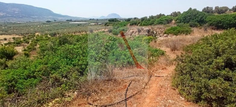 Land in Arkhaia Korinthos - view 1