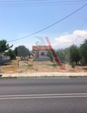 Land in Velo - view 1