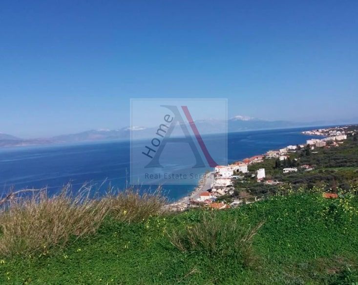 Land in Evrostina - view 1