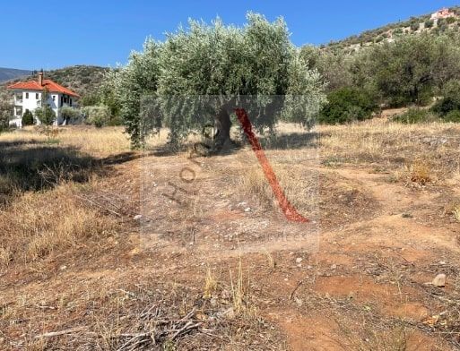 Land in Antikyra - view 1
