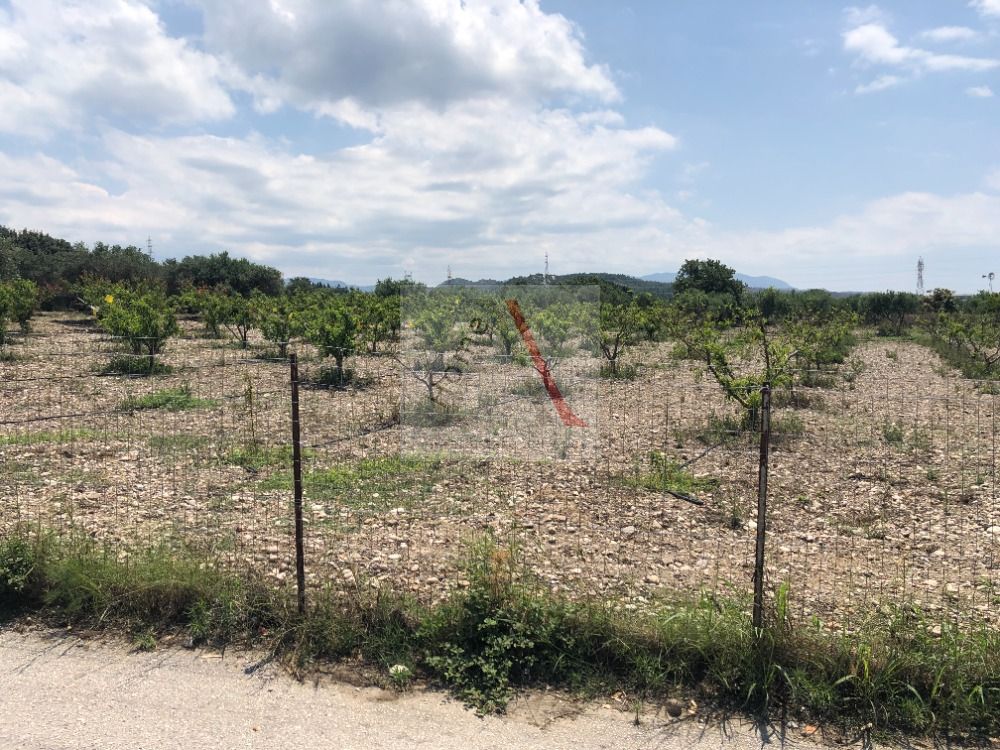 Land in Rhodes - view 1