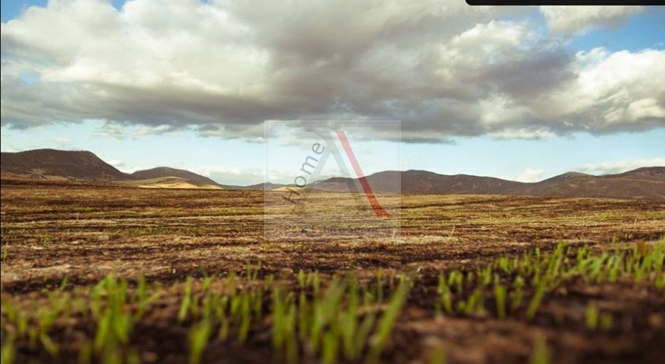 Land in Thiva - view 1