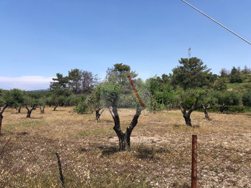 Land in Rhodes - view 1