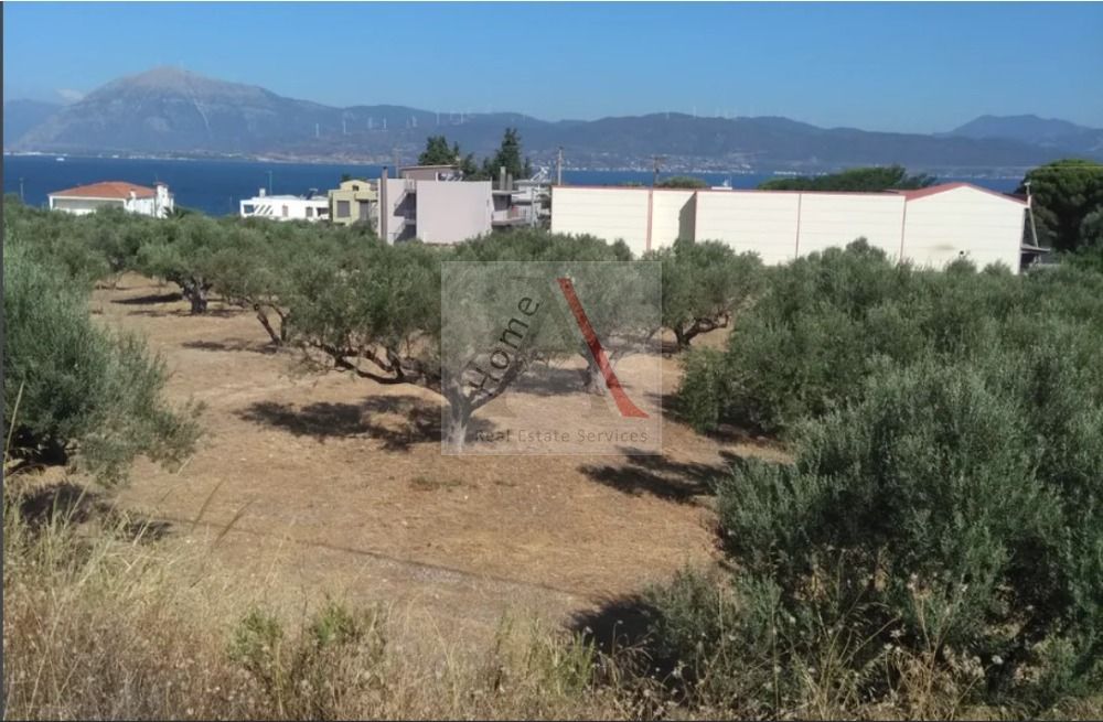 Land in Ayios Yeoryios - view 1