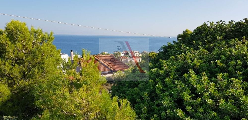 Land in Aegina - view 1