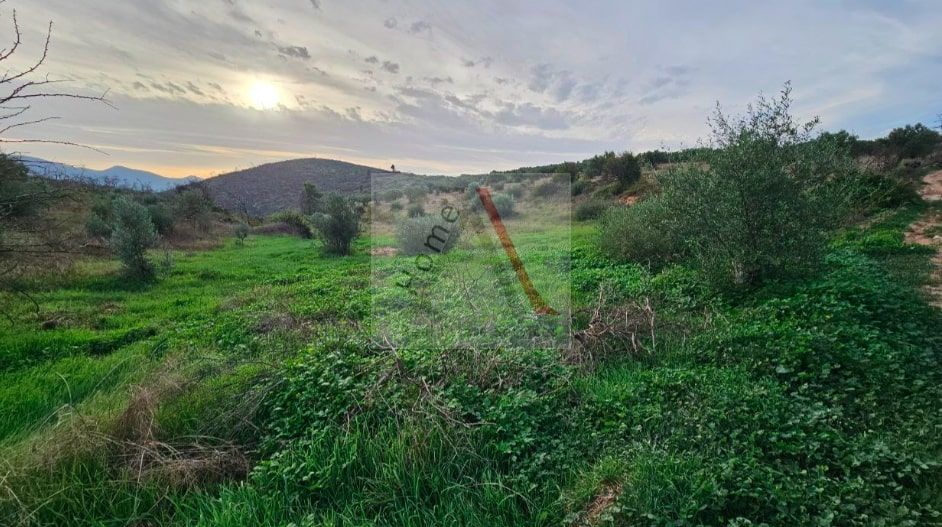 Land in Saronic Islands - view 1