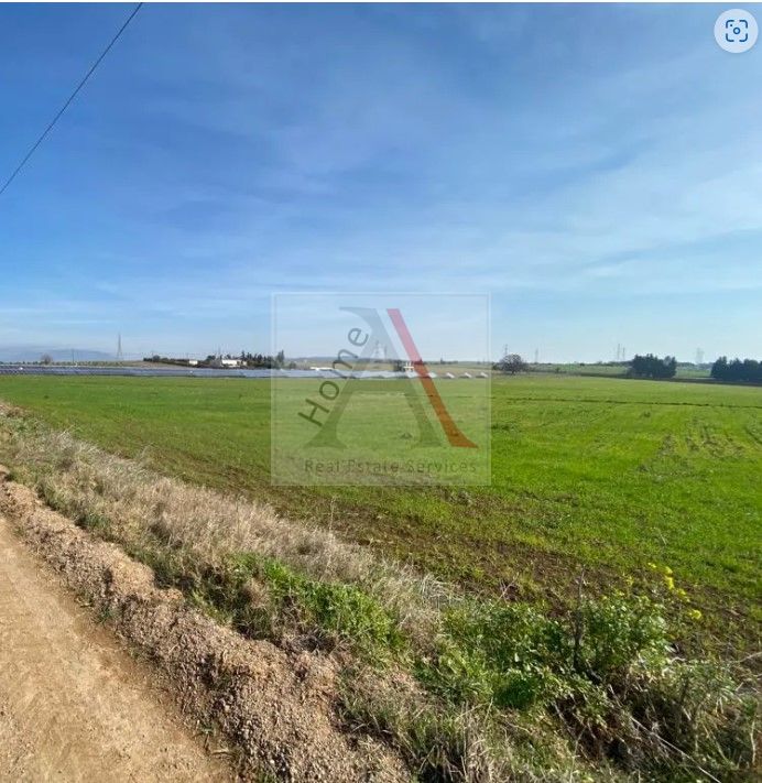 Land in Thiva - view 1